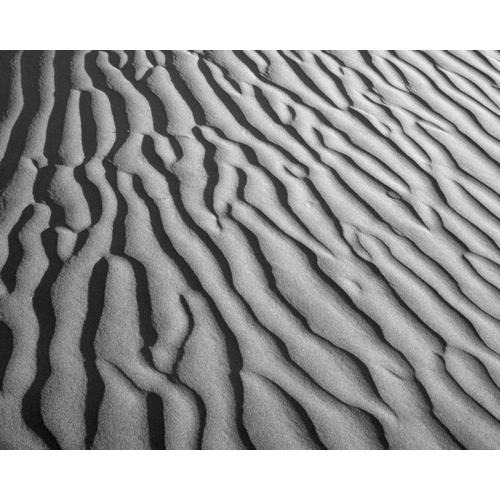 California, Death Valley NP Sand dune patterns